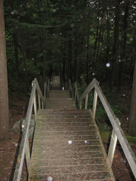 Photo of a bridge in Algonquin park in ontarios north country