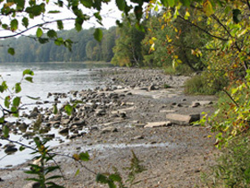 Picture of the shoreline of a lake near Tobermory, Ontario